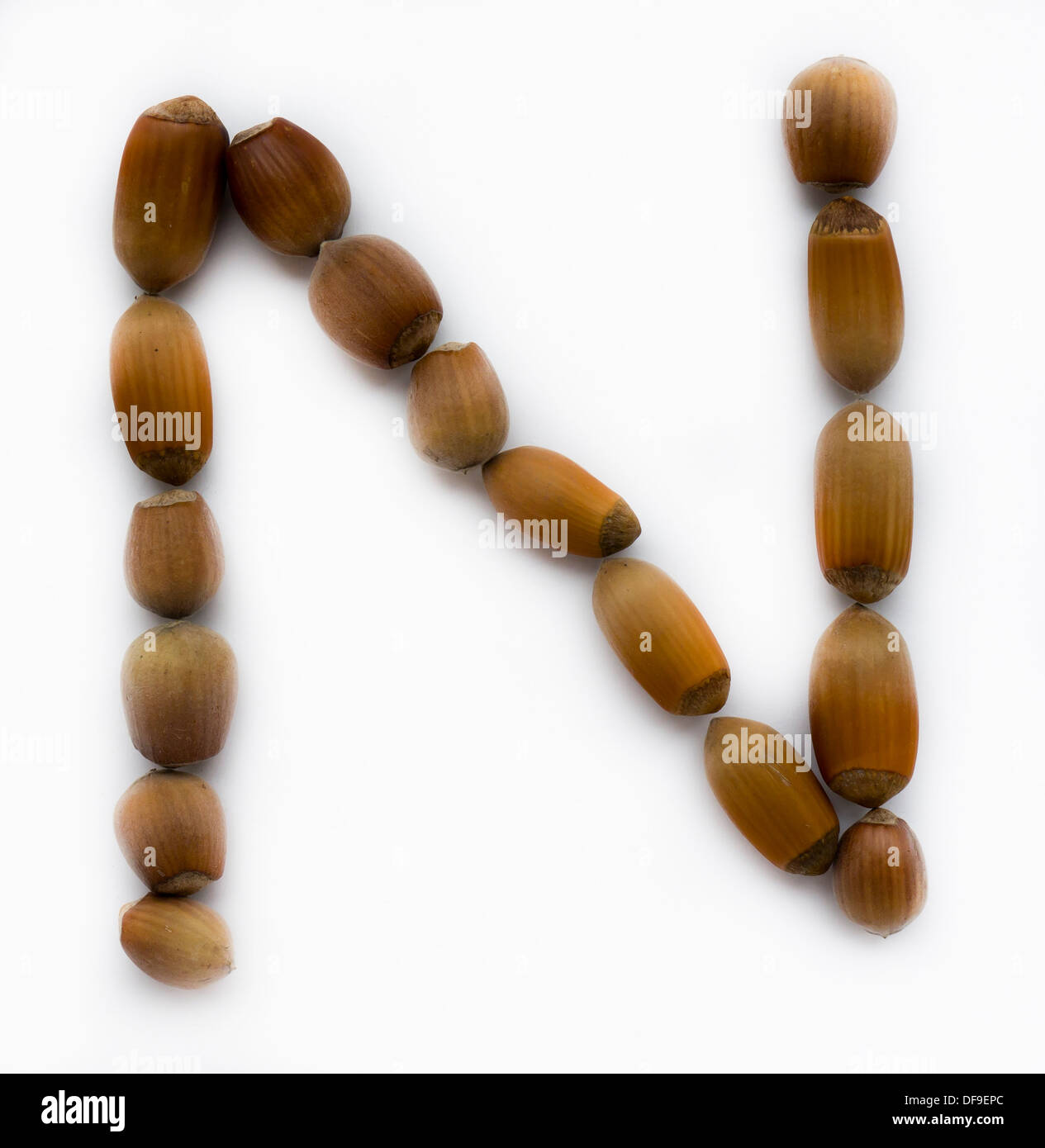 Letter N. Hazelnut. Stock Photo