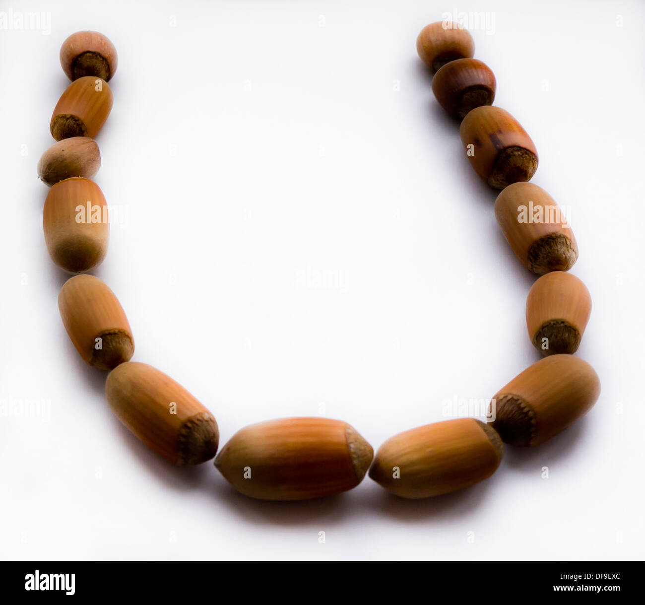 Letter U. Hazelnut. Stock Photo