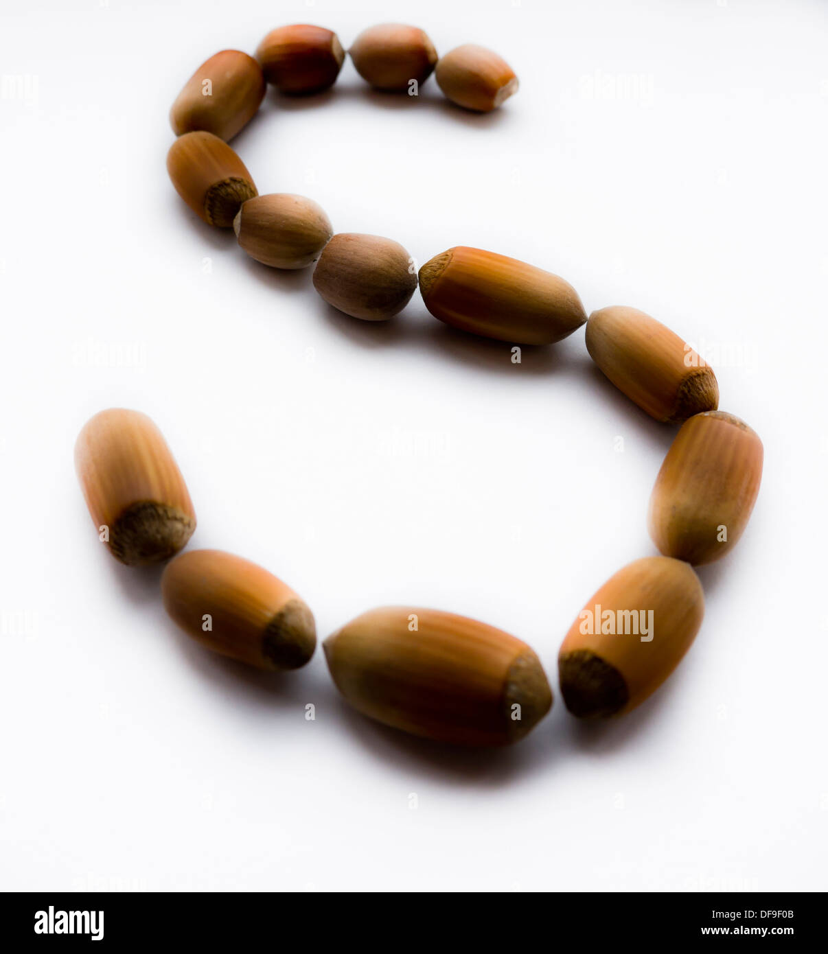 Letter S. Hazelnut. Stock Photo