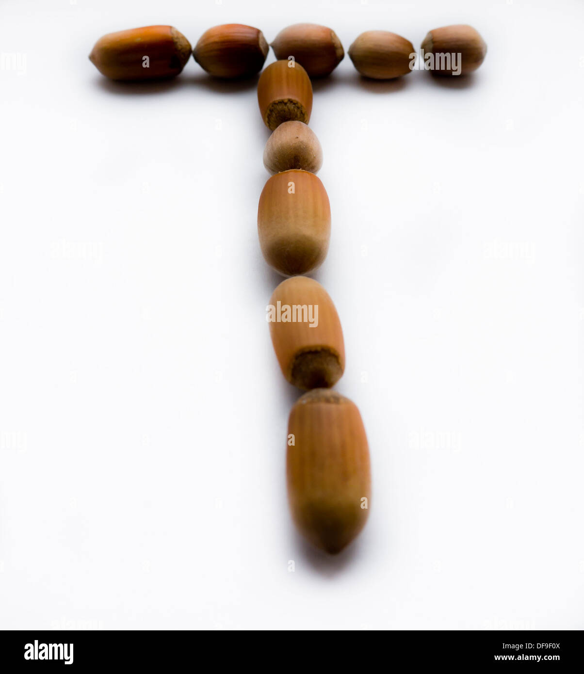 Letter T. Hazelnut. Stock Photo