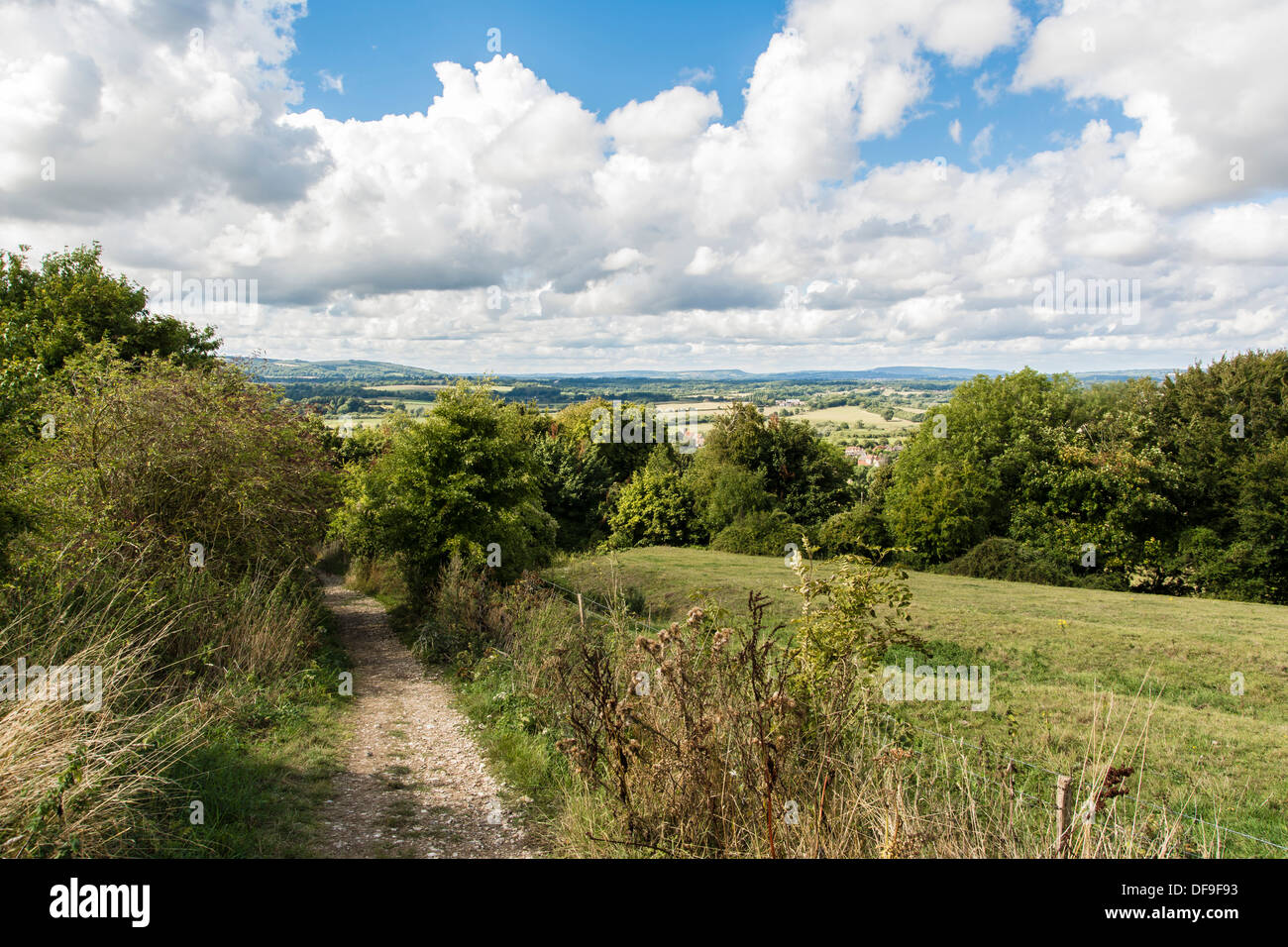 The South Downs Way in the South Downs National Park near the village