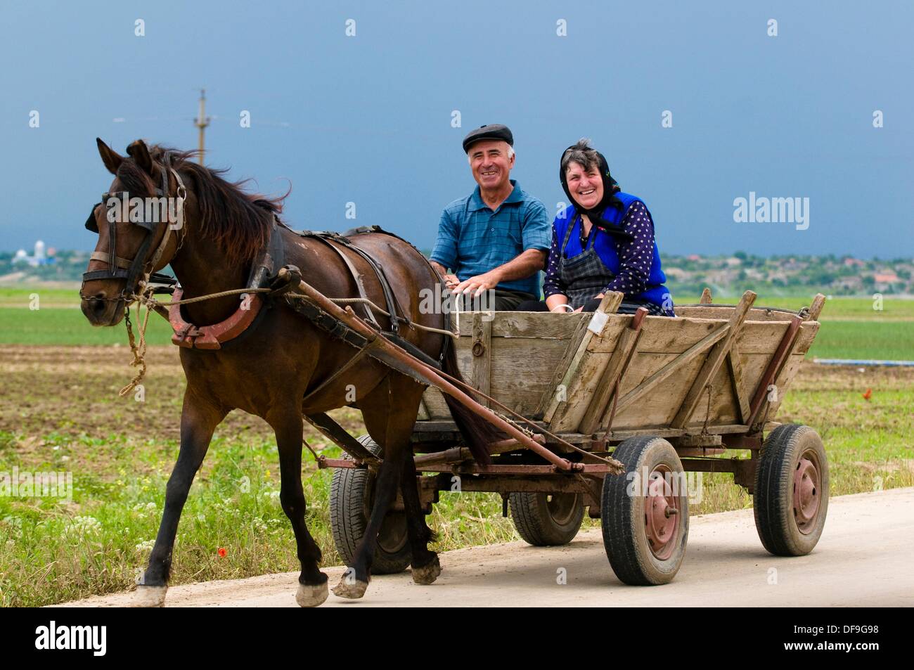 Dobruja, couple of farmers with traditional horse cart, Romania Stock Photo  - Alamy