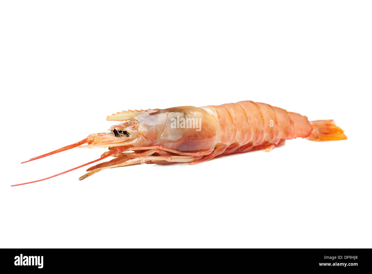 Raw shrimp isolated on white background Stock Photo - Alamy