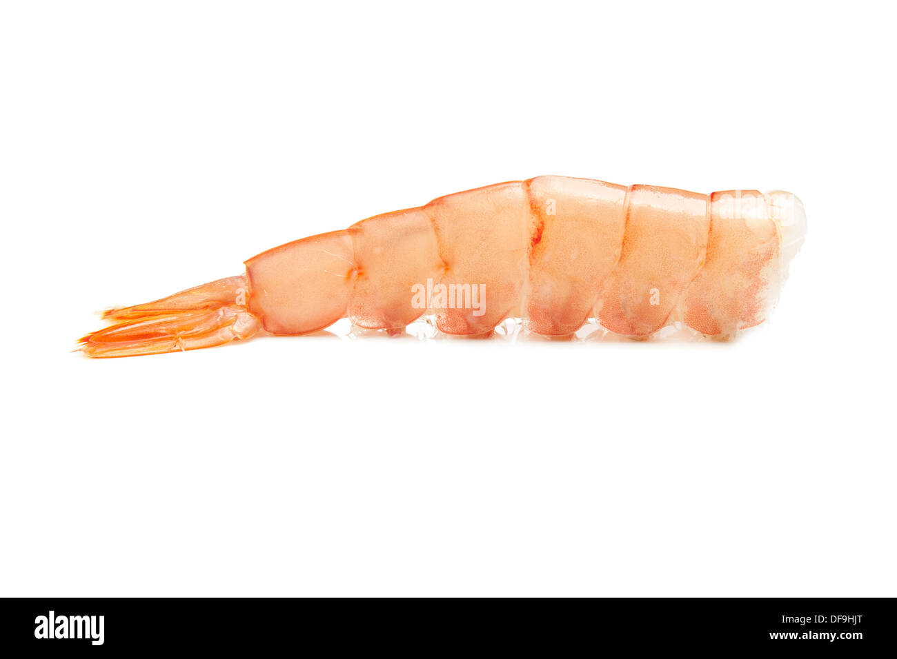 Are Shrimp Tails Good For Dogs