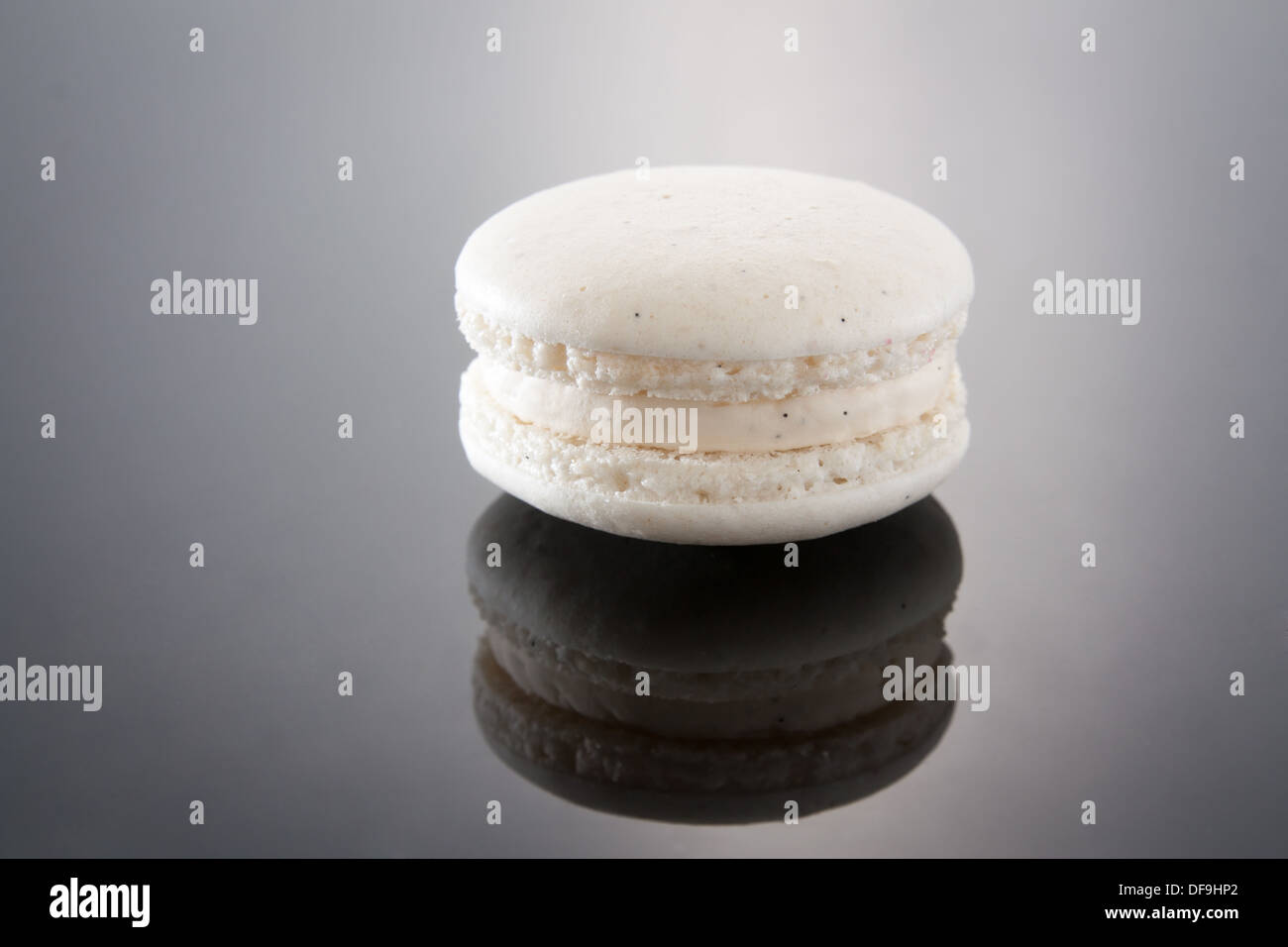 Vanilla Macaron on gradient background Stock Photo