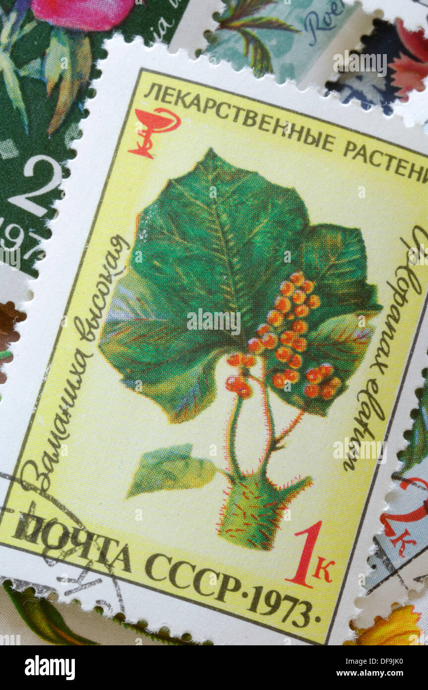 Russian postage stamp Stock Photo - Alamy