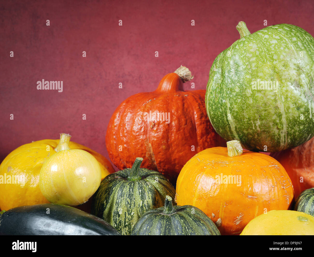 Composition of pumpkins, zucchini and summer squashes Stock Photo