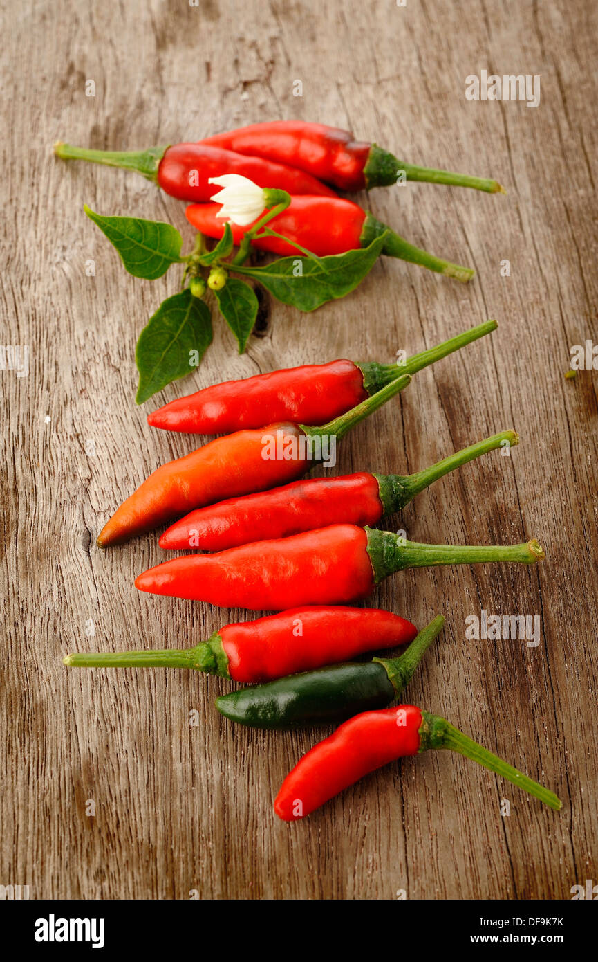 red chili peppers and leaves on wooden background Stock Photo