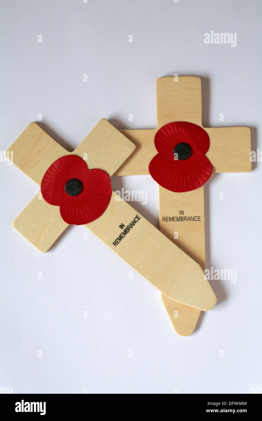British Legion Red Poppies In remembrance crosses isolated on white background Stock Photo