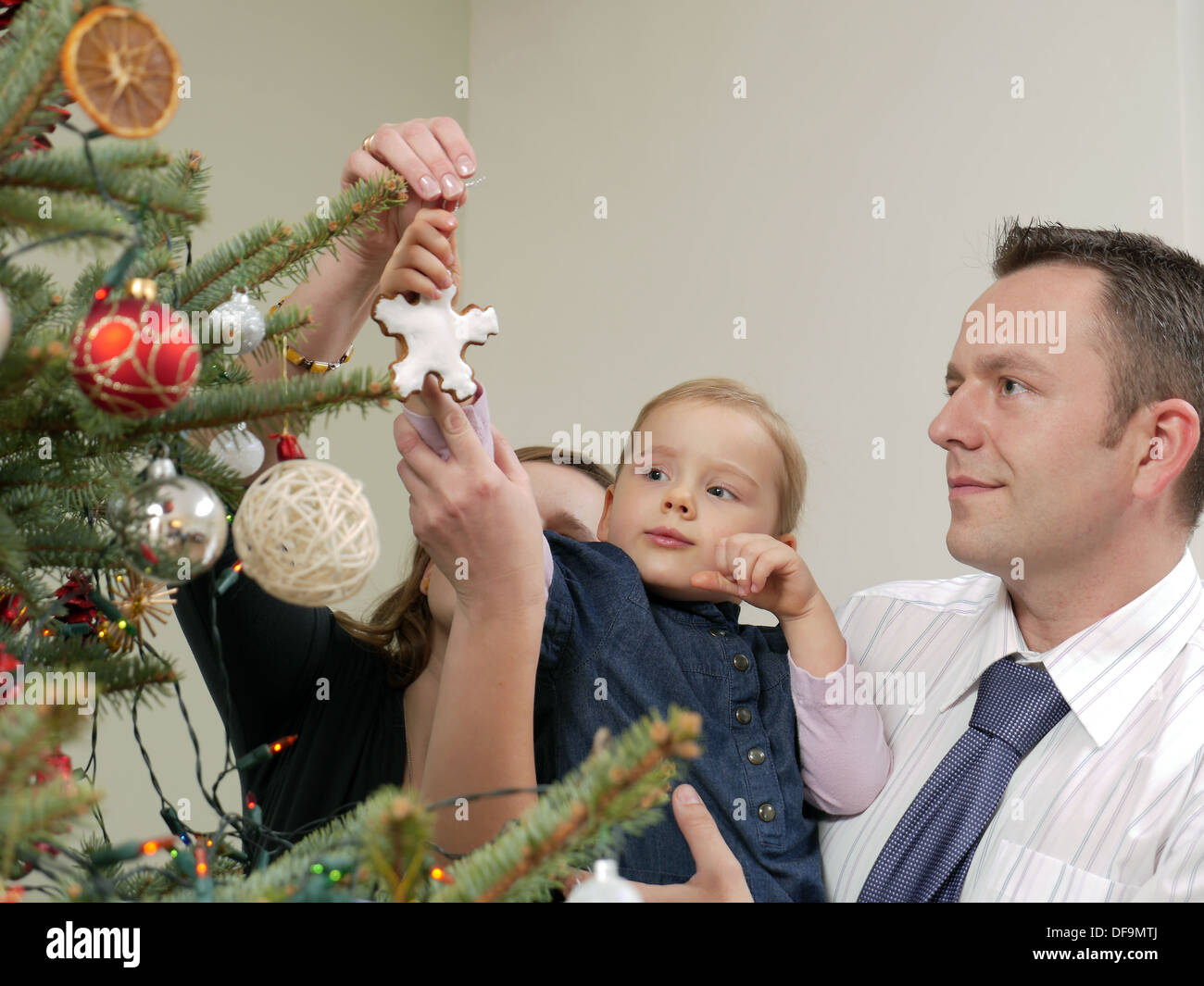 Mom and dad helping their cute little girl decorate Christmas tree with gingerbread star cookie Stock Photo