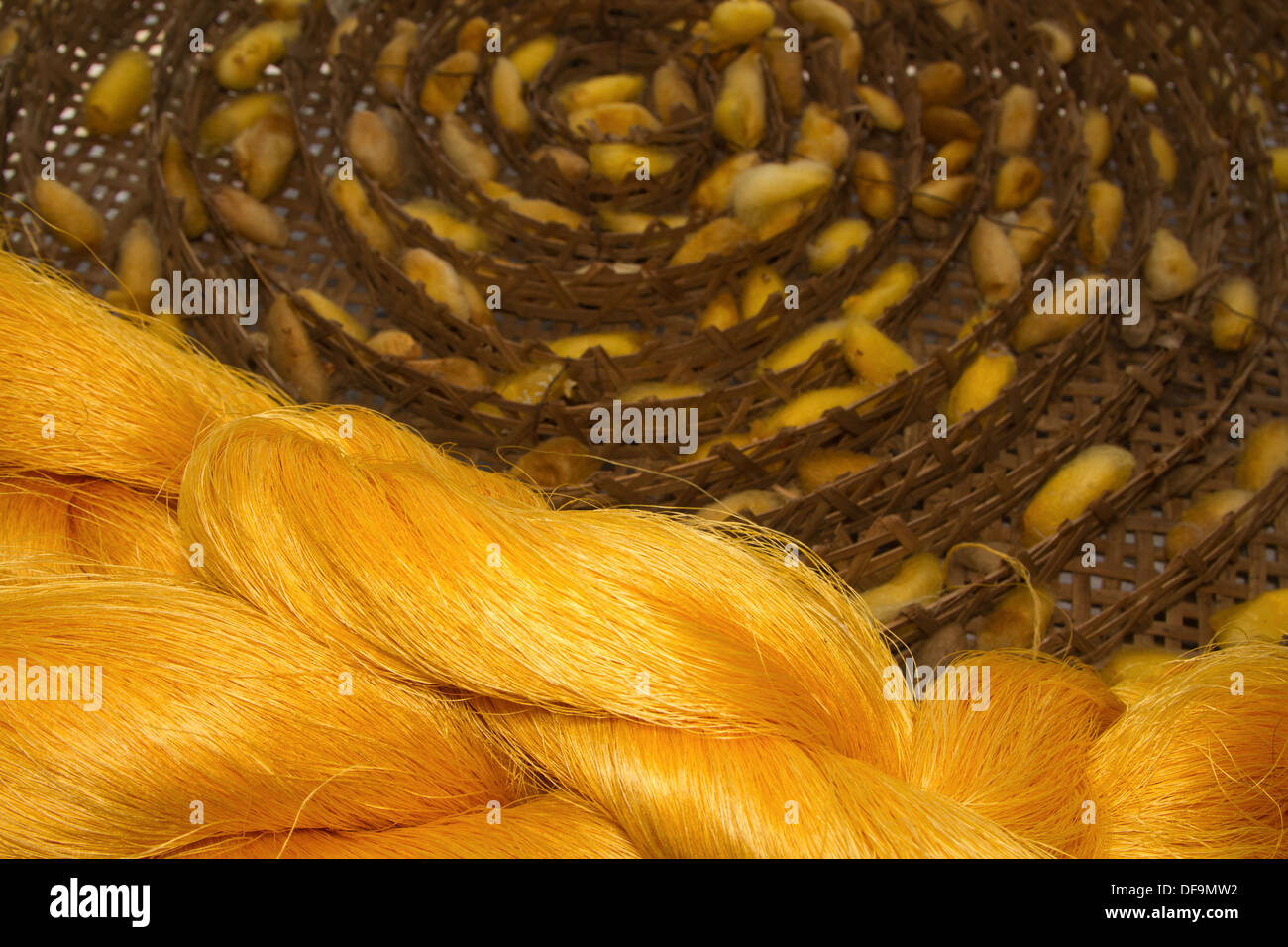 Silk cocoons and raw silk threads Stock Photo