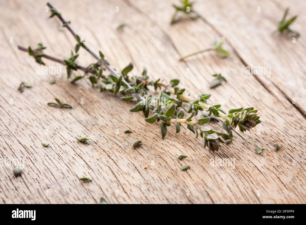 Two thyme sprigs over wooden table close-up Stock Photo