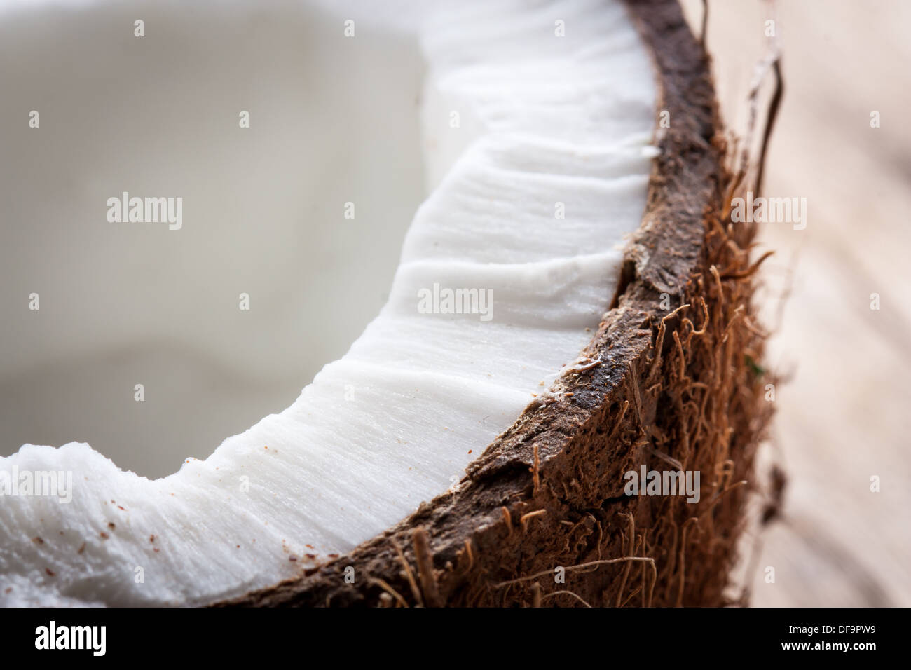 Detail of half a coconut texture Stock Photo Alamy
