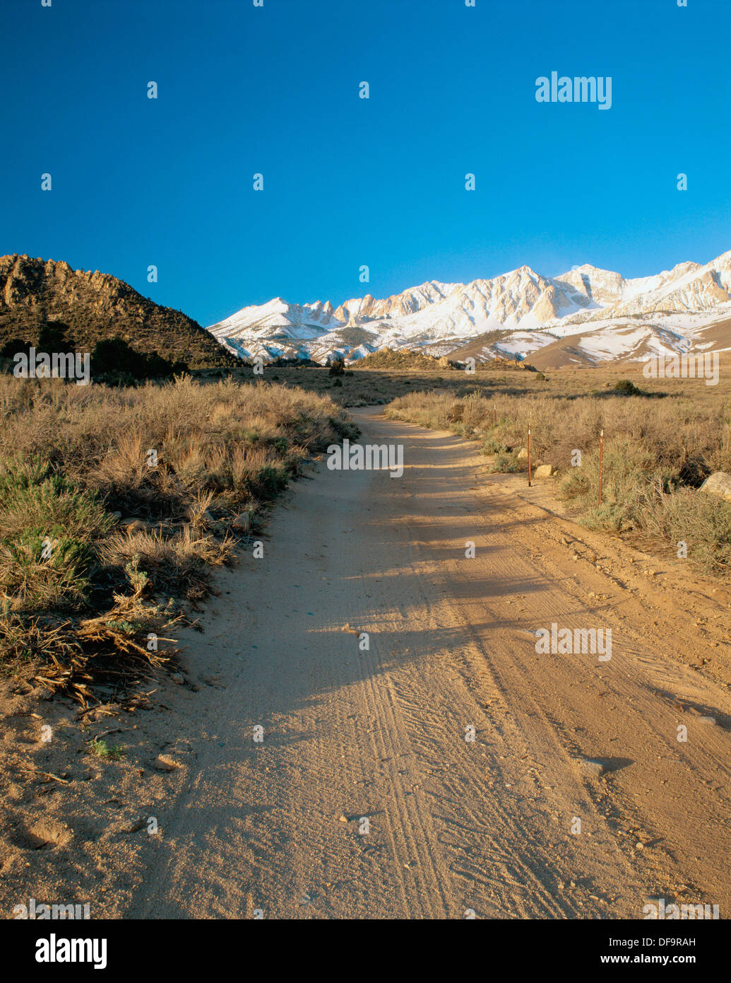 The Buttermilk Road in Inyo National Forest. Sierra Nevada Mountain
