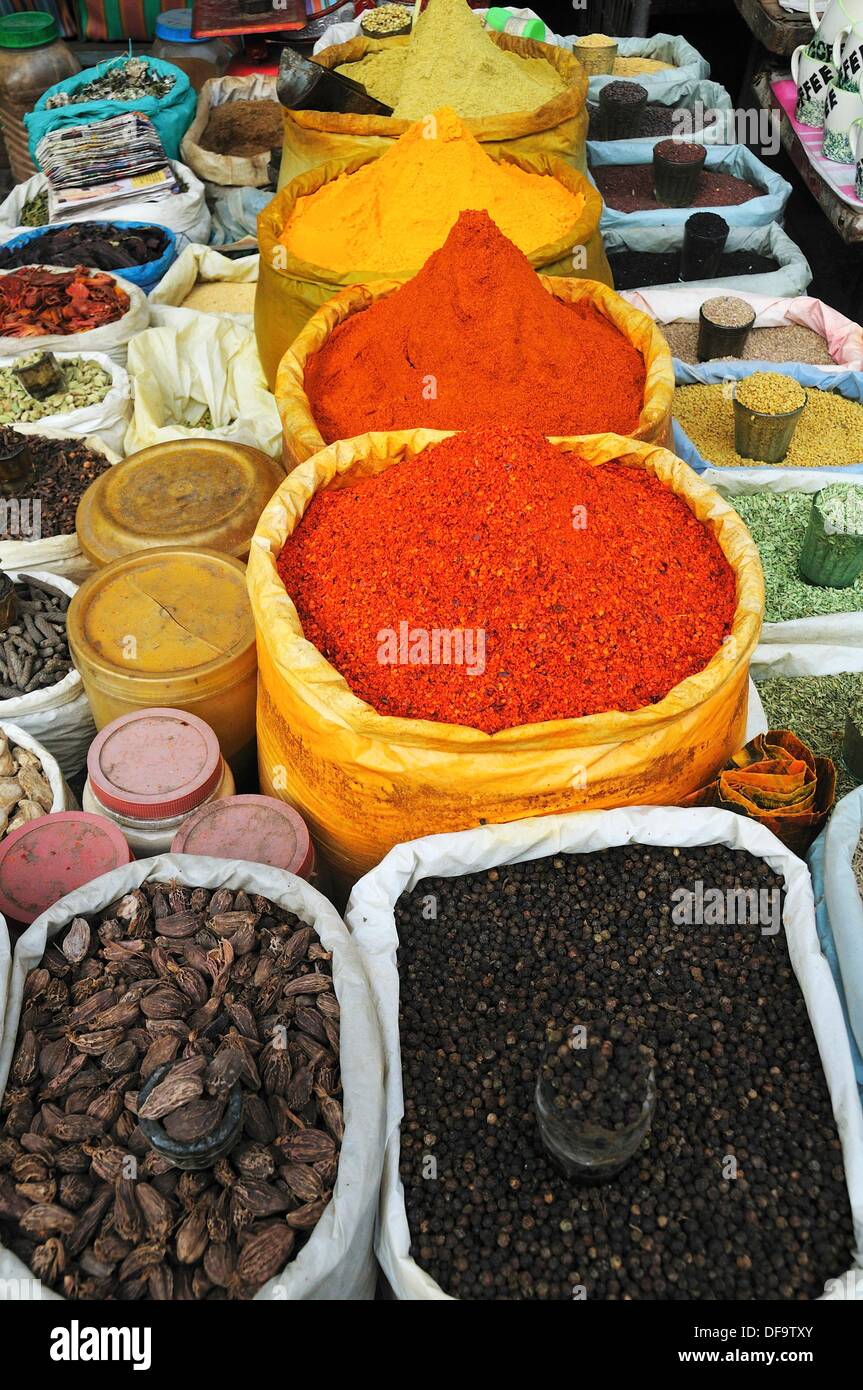 Indian spices, New Delhi, India Stock Photo Alamy