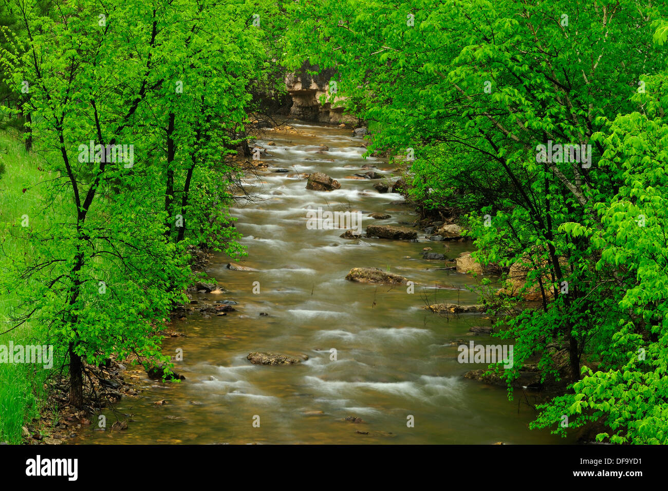 Box Elder Creek Stock Photo Alamy