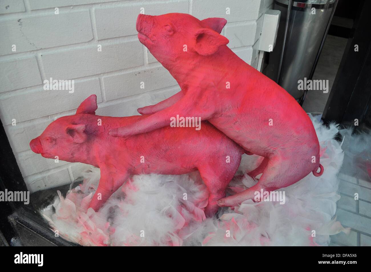 Naha (Japan): modern sculpture, depicting two little pigs having sex,  behind a window in the city center Stock Photo - Alamy