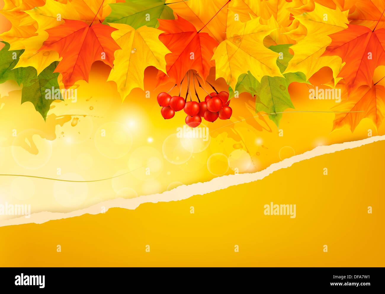Autumn background with colorful leaves and ripped paper. Vector ...