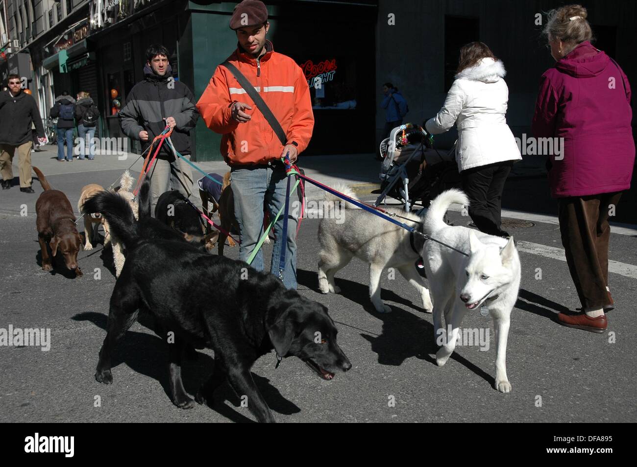 Dog Sitters Stock Photos & Dog Sitters Stock Images Alamy