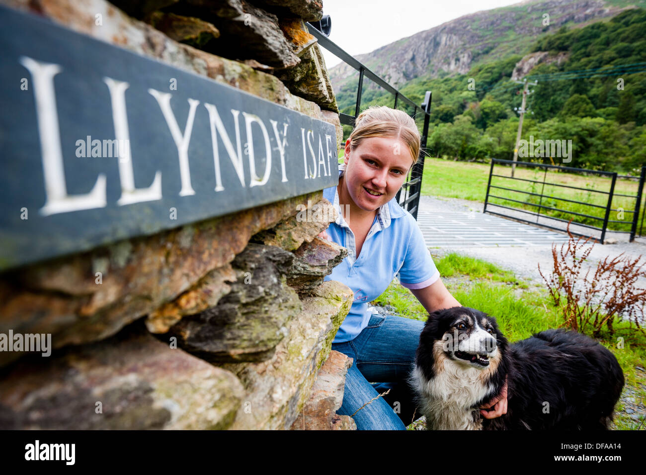 Caryl Hughes, with her sheepdog Mist, who will be farming the National Trust land at Llyndy Isaf farm, near Beddgelert Wales UK Stock Photo