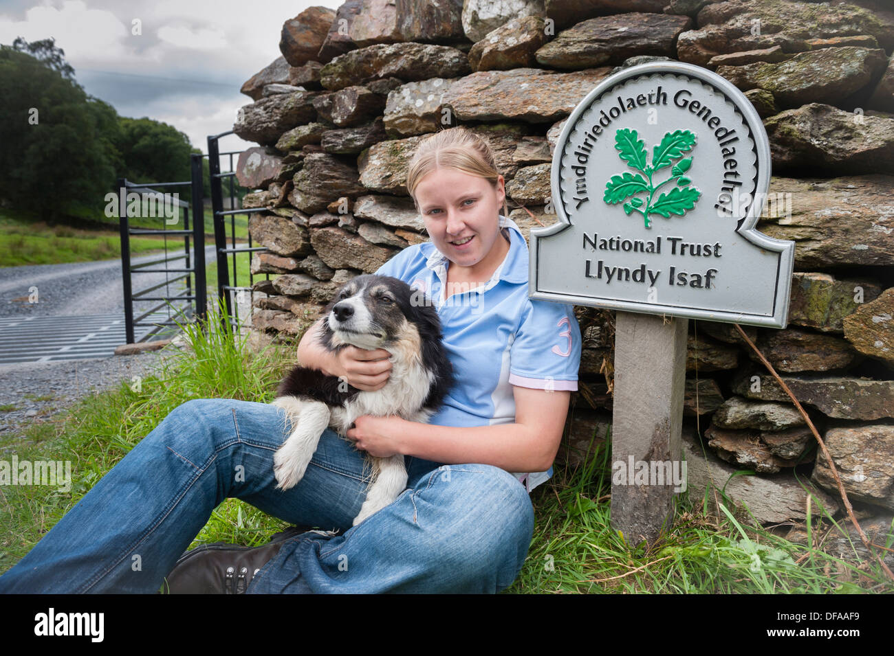 Caryl Hughes, with her sheepdog Mist, who will be farming the National Trust land at Llyndy Isaf farm, near Beddgelert Wales UK Stock Photo