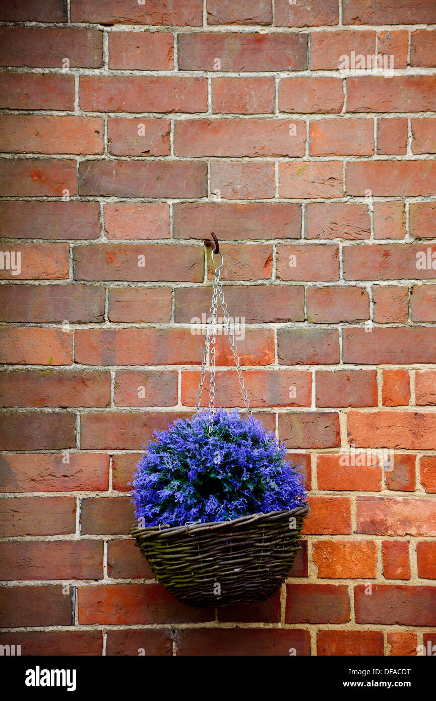Plant basket hires stock photography and images Alamy