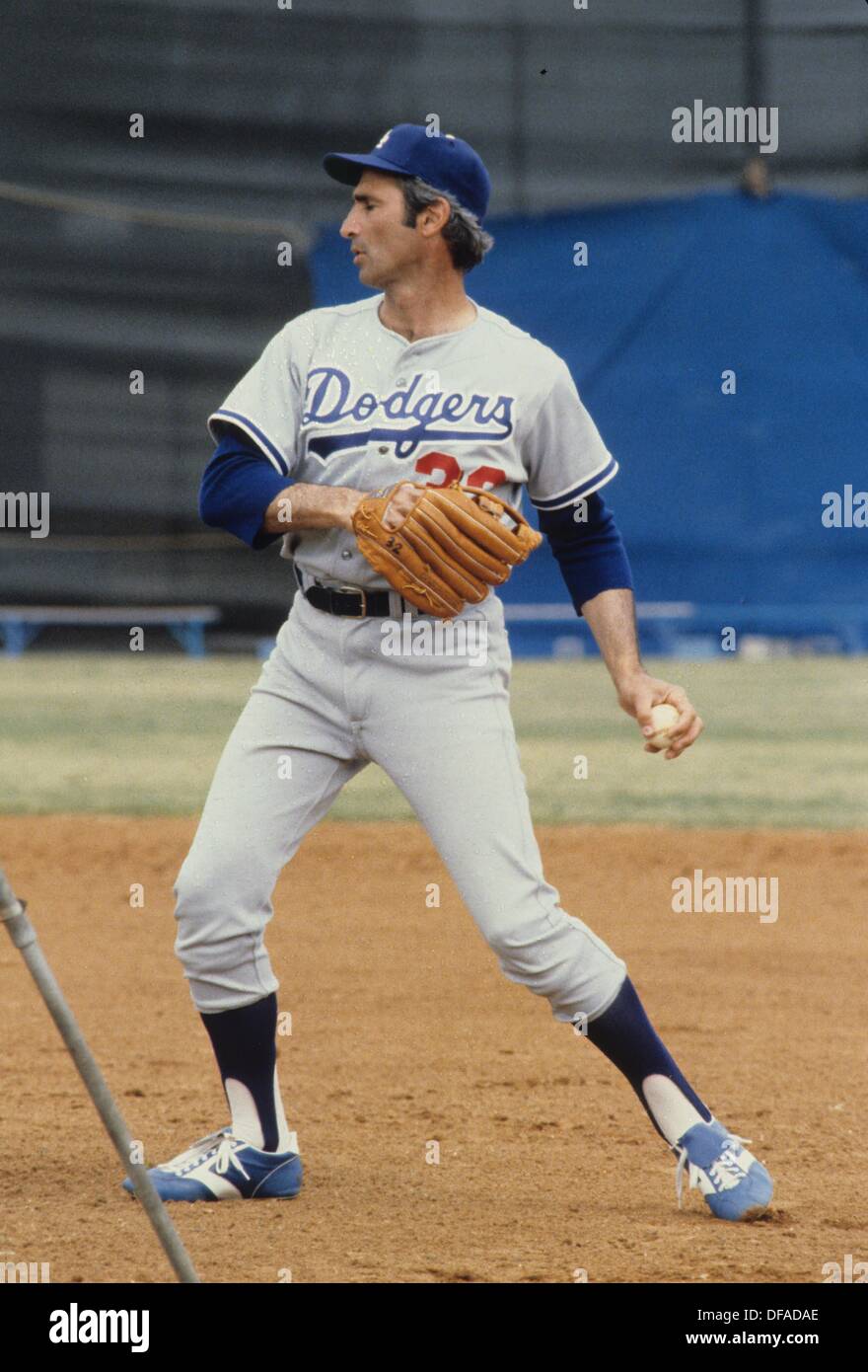 Los Angeles Dodgers Sandy Koufax Baseball LA Brooklyn 8x10 to 48x36 Photo 55