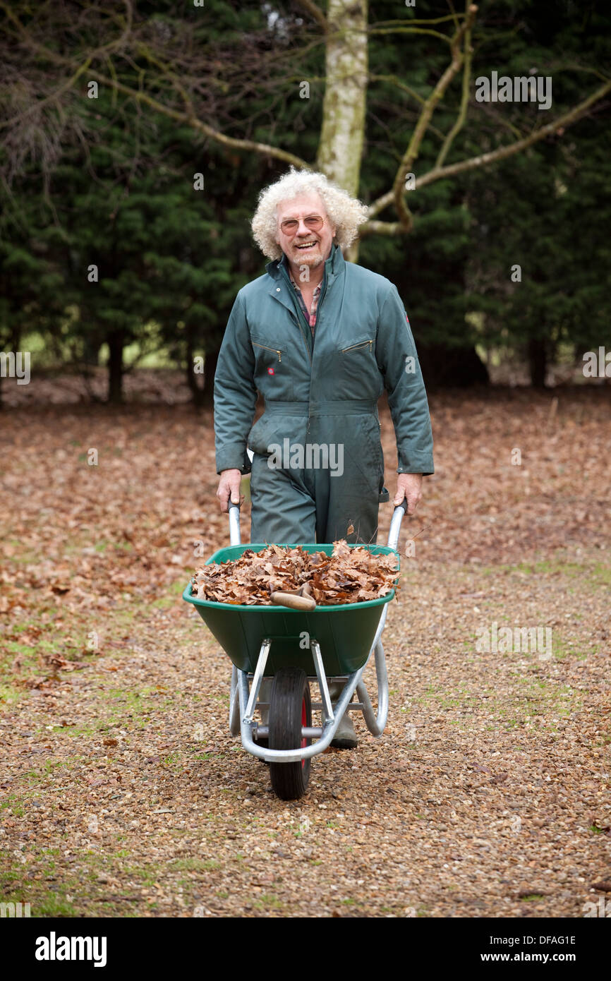 A gardener wheels a wheelbarrow through autumn leaves UK Stock Photo