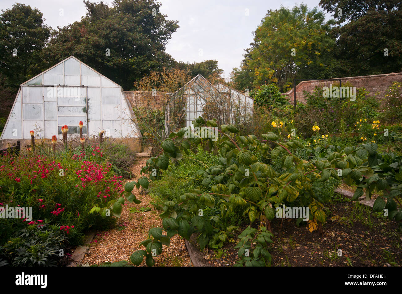 Flower Greenhouses High Resolution Stock Photography and Images - Alamy