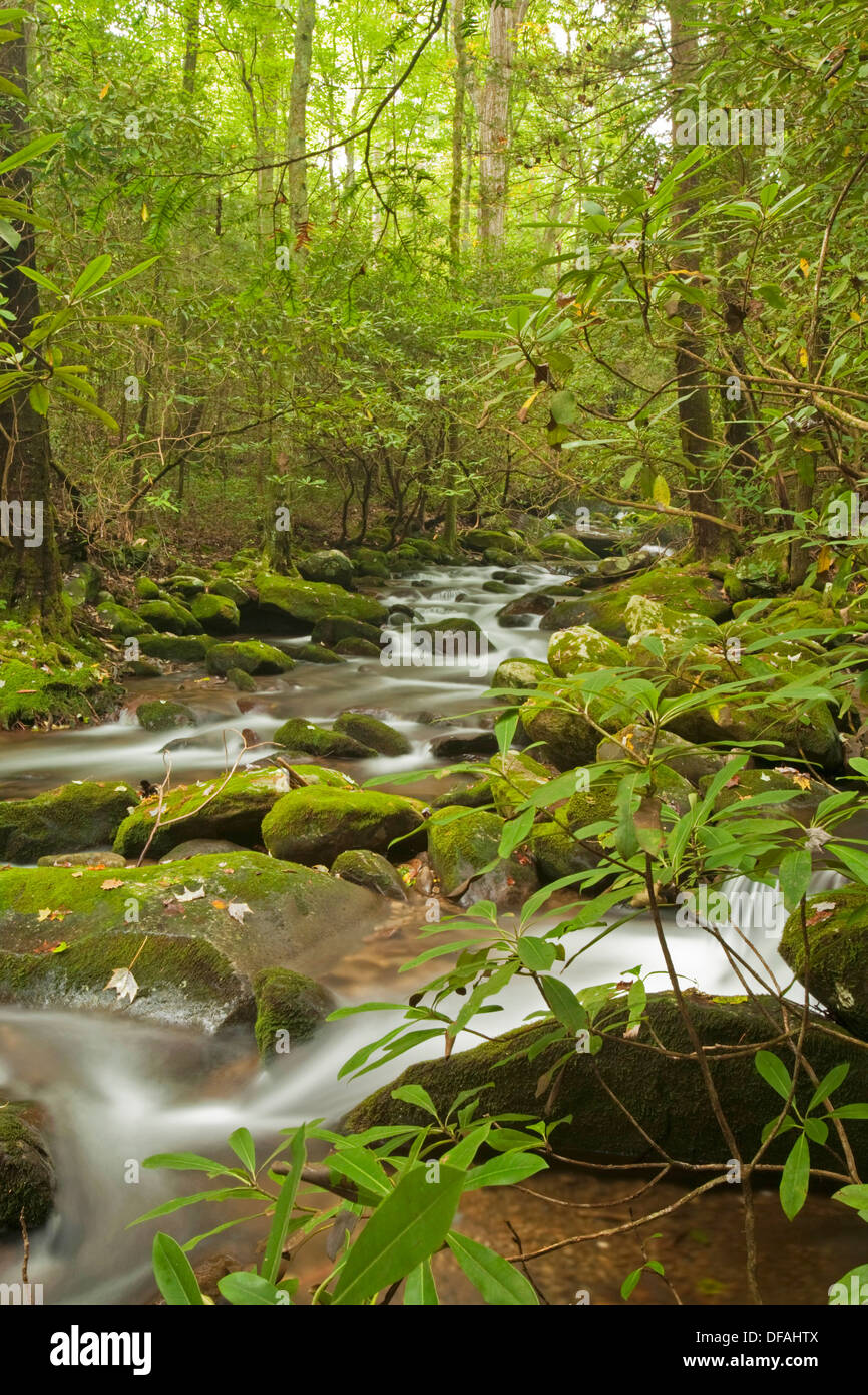 Cosby Creek, Great Smoky Mtns Nat Park, TN Stock Photo Alamy