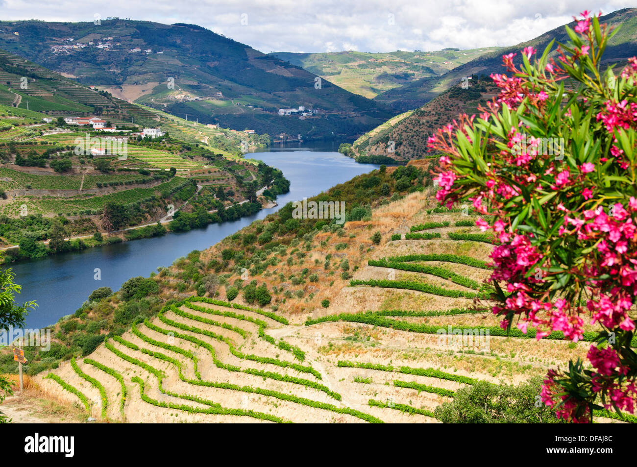 Views of Quinta Nova Vinyards,Estate,River Douro,Vines,Terraces