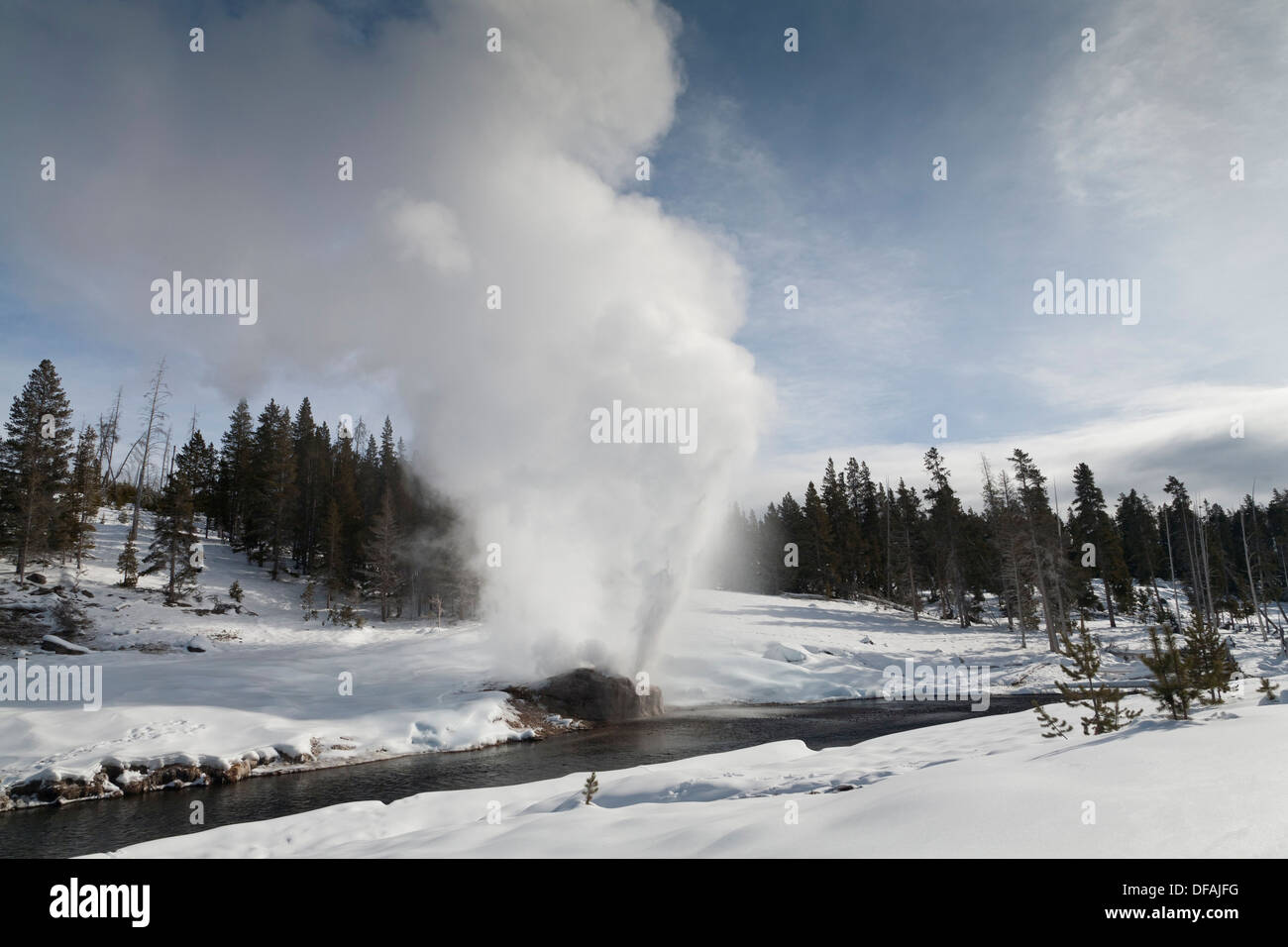 Riverside Geyser, Winter, Upper Geyser Basin, Yellowstone NP, WY Stock