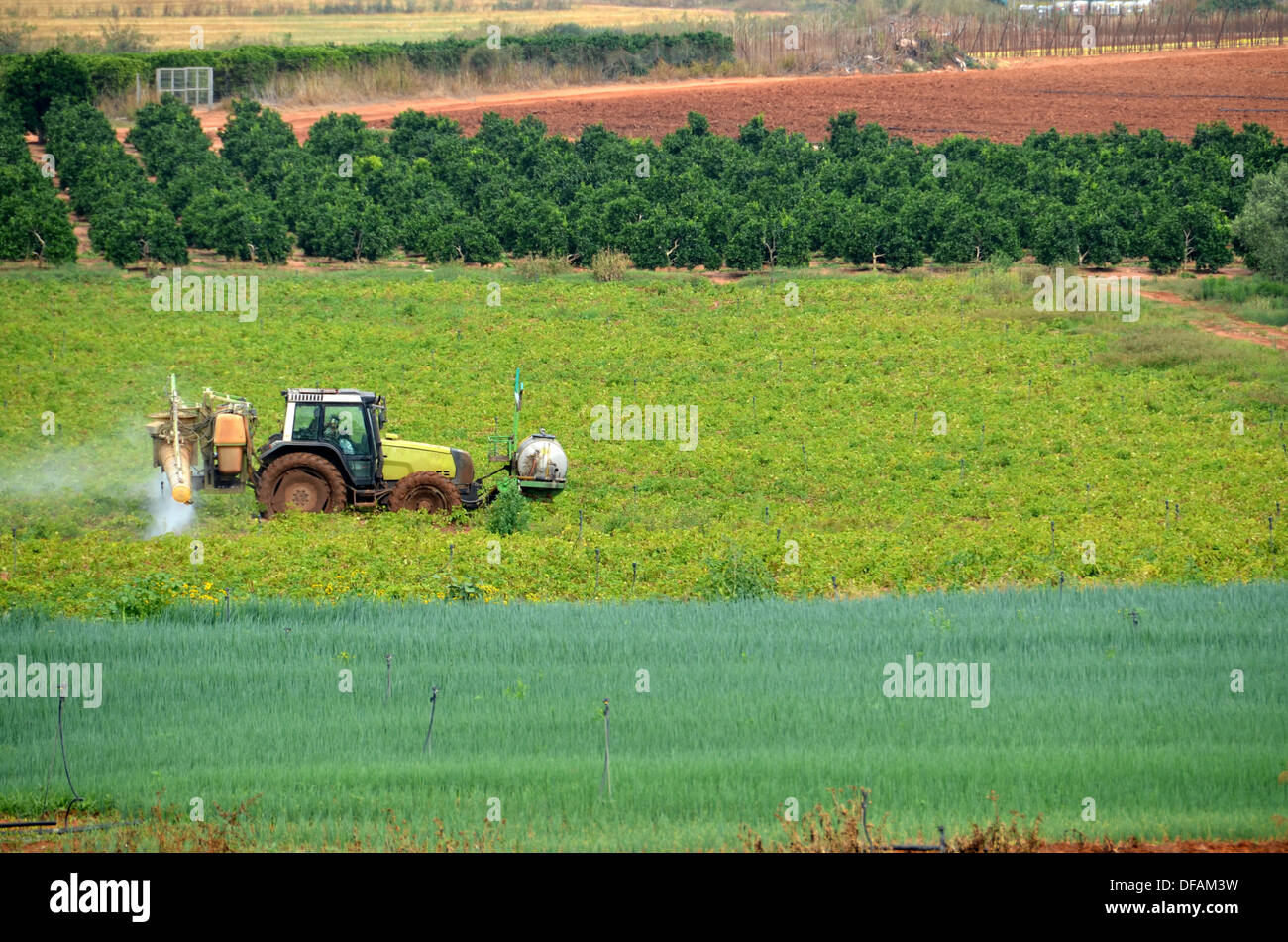 Tractor fumigating a planted field Stock Photo