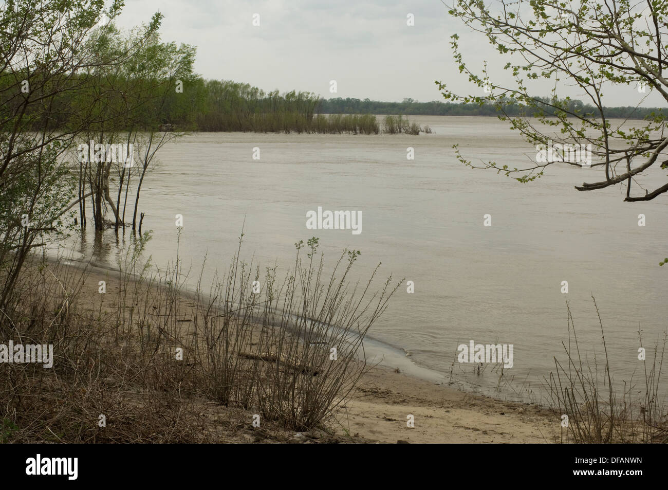 Mississippi River Near Fort Pillow Tennessee Digital Photograph