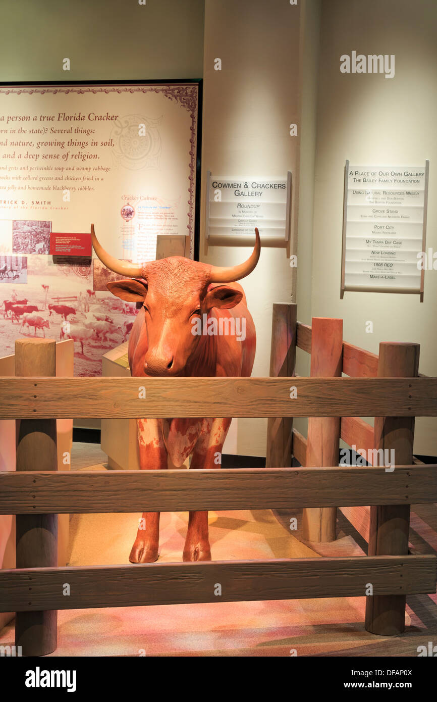 Tampa Bay History Museum,Tampa,Florida,USA,North America Stock Photo