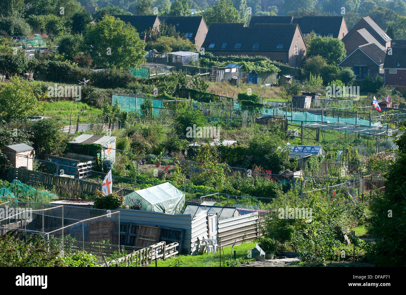 urban allotments, norwich, norfolk, england Stock Photo