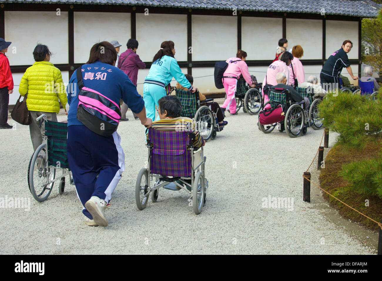 A group of wheel chair bound Japanese elders being shown around the