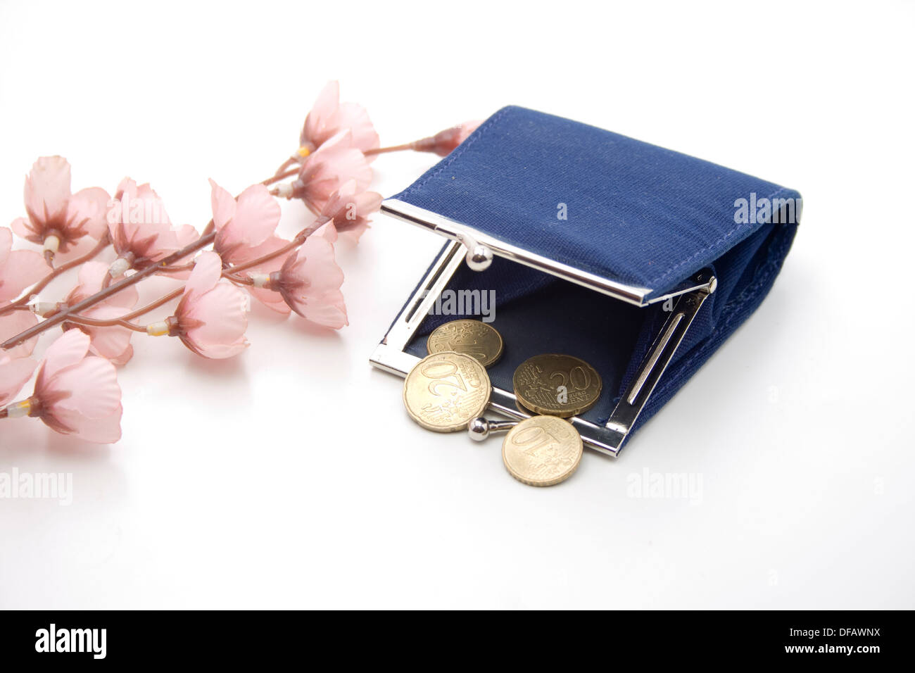 Money bag with flowering branch Stock Photo Alamy