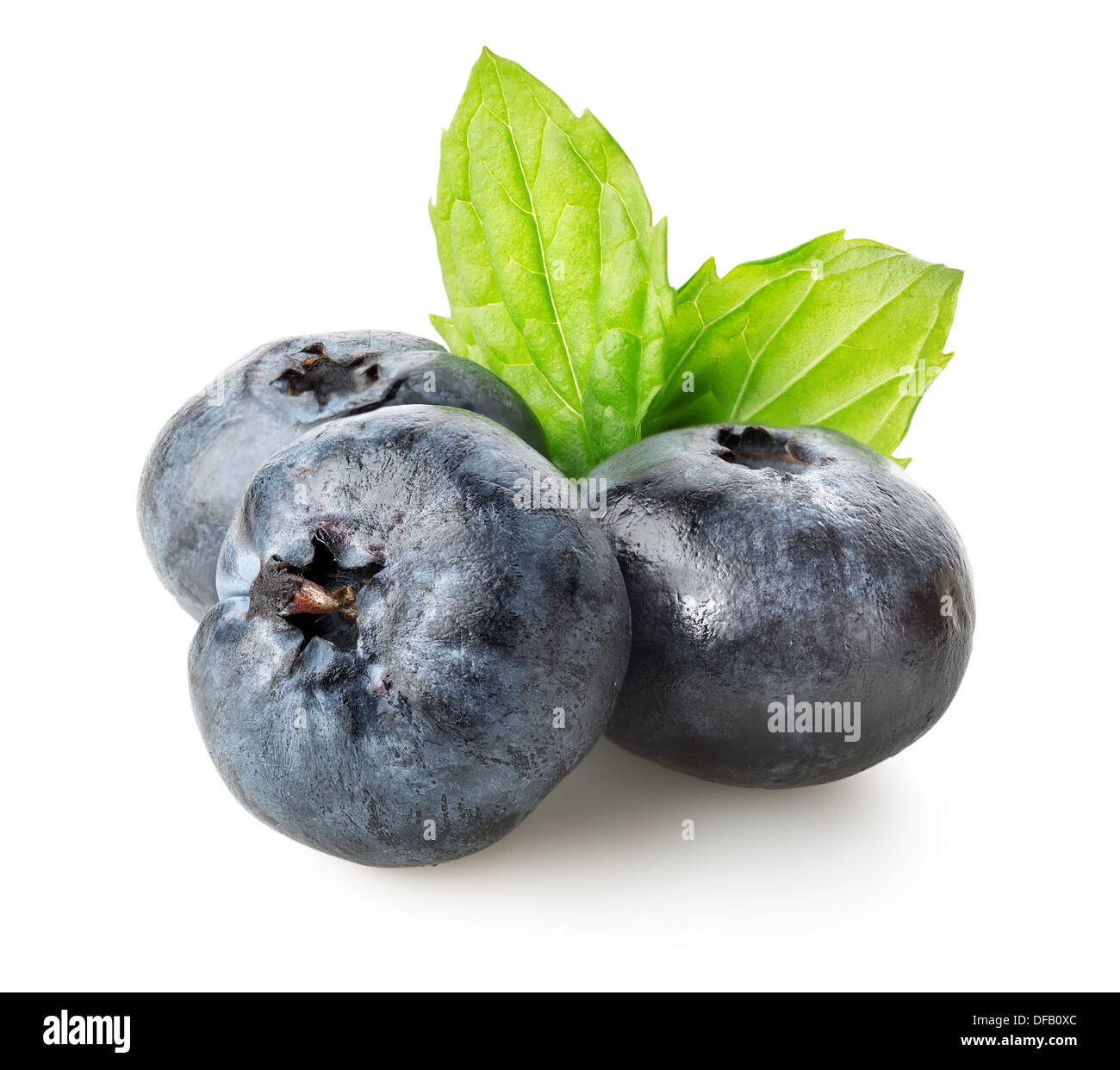Three berries of blueberry with green leaves Stock Photo