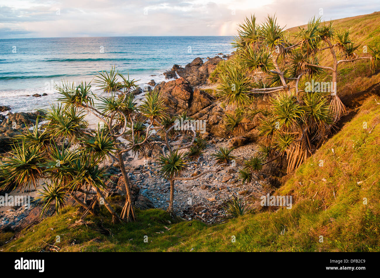 Sandy Beach, Coffs Harbor, NSW, Australia Stock Photo Alamy