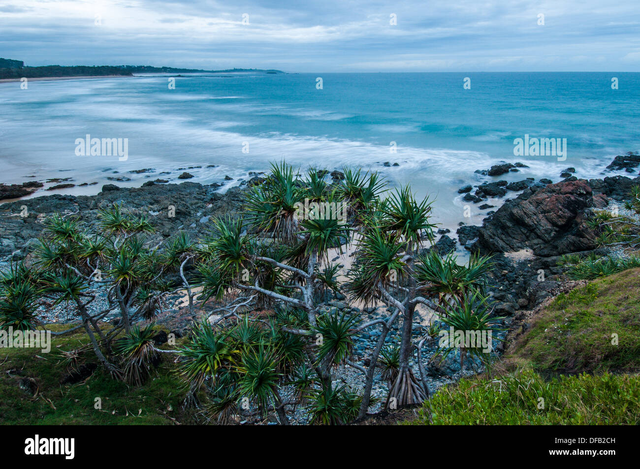Lauhala hires stock photography and images Alamy