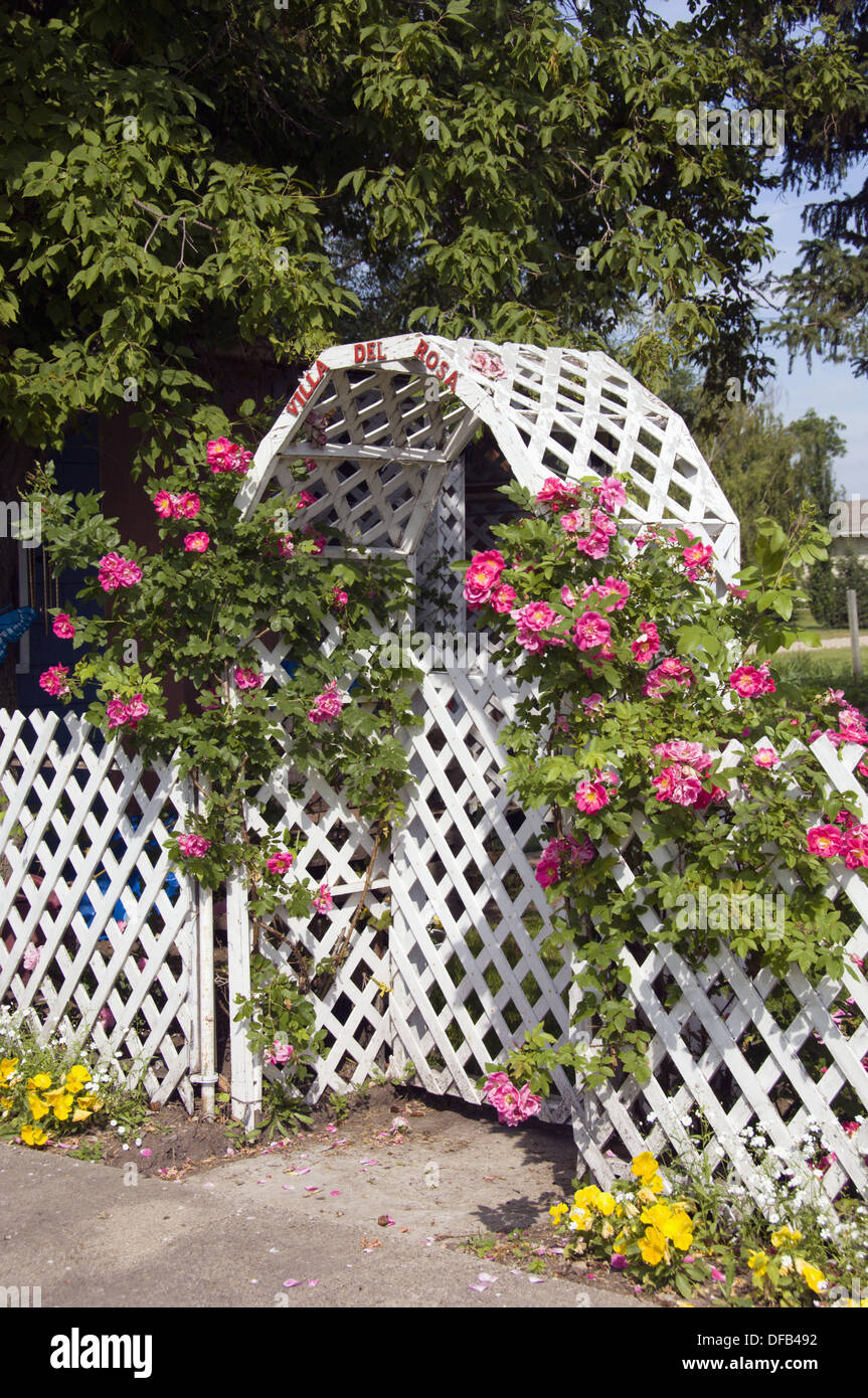 A Lattice Work Garden Gate With Roses In Cardinal Manitoba Canada Stock Photo Alamy