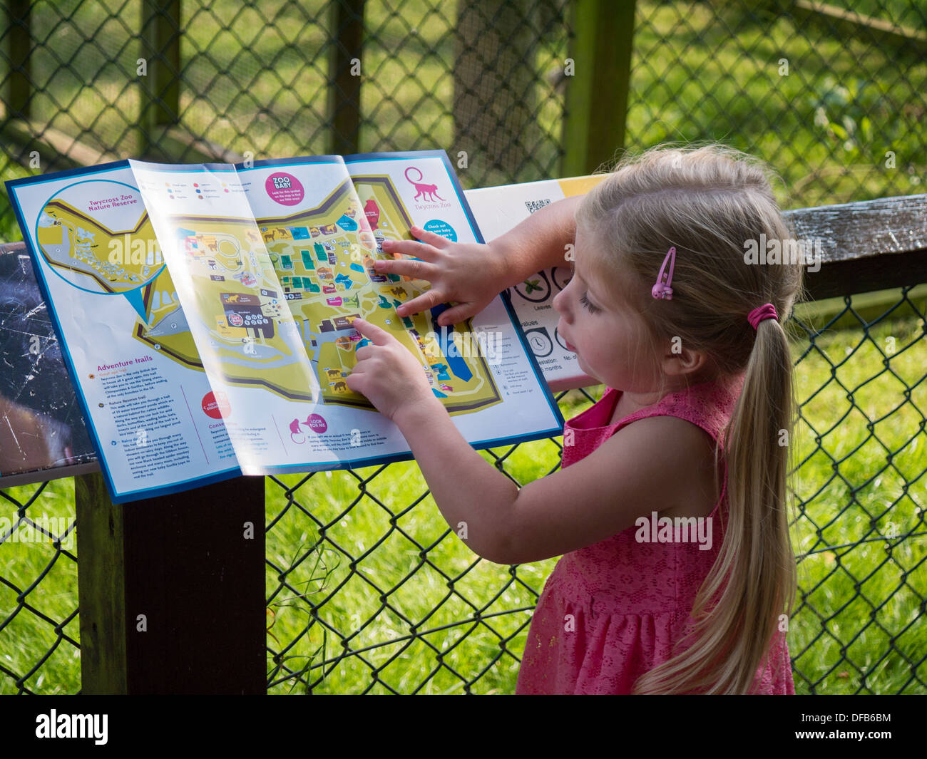 A little girl reading a map on a day trip to the Zoo. Stock Photo