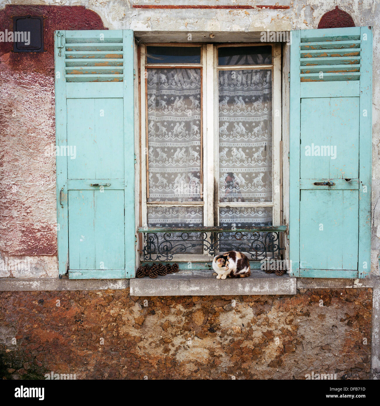 A typical old French house window and shutters with a curious cat in