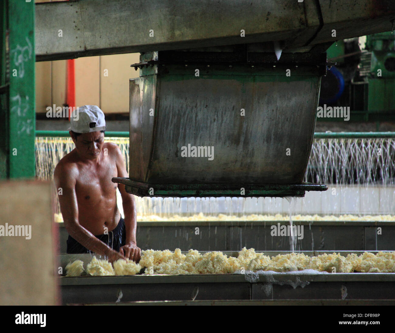 Rubber plantation vietnam asia hi-res stock photography and images - Alamy