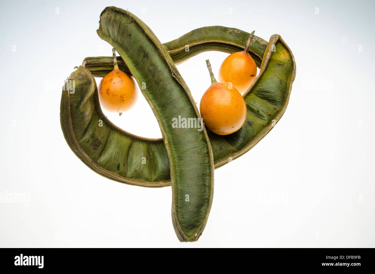 Pacae fruit (Inga brachyptera fruit) and the Sweet granadilla fruit ...