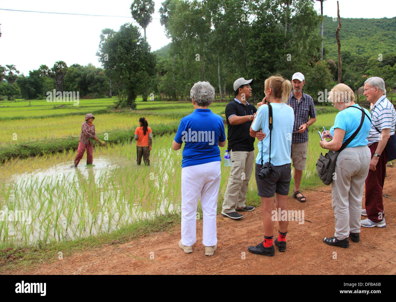Tourists visiting rice paddies Stock Photo