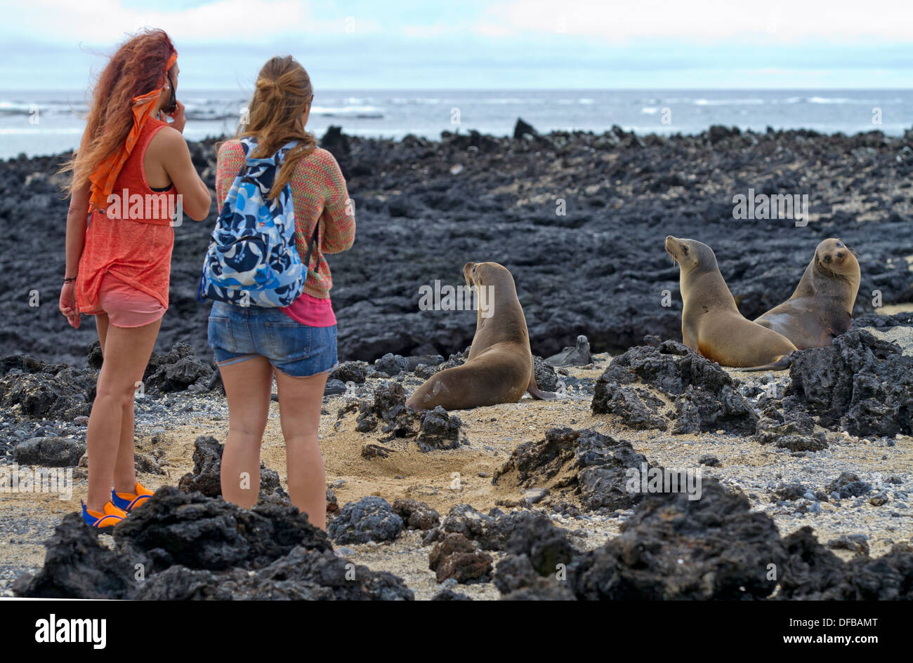 Tourists and Galapagos sea lions at Tintoreras Stock Photo