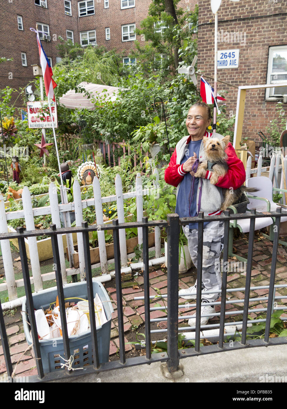 Puerto Rican woman poses in front of Sunrise Community garden at the Patterson Houses in The Bronx. She is one of the gardeners. Stock Photo
