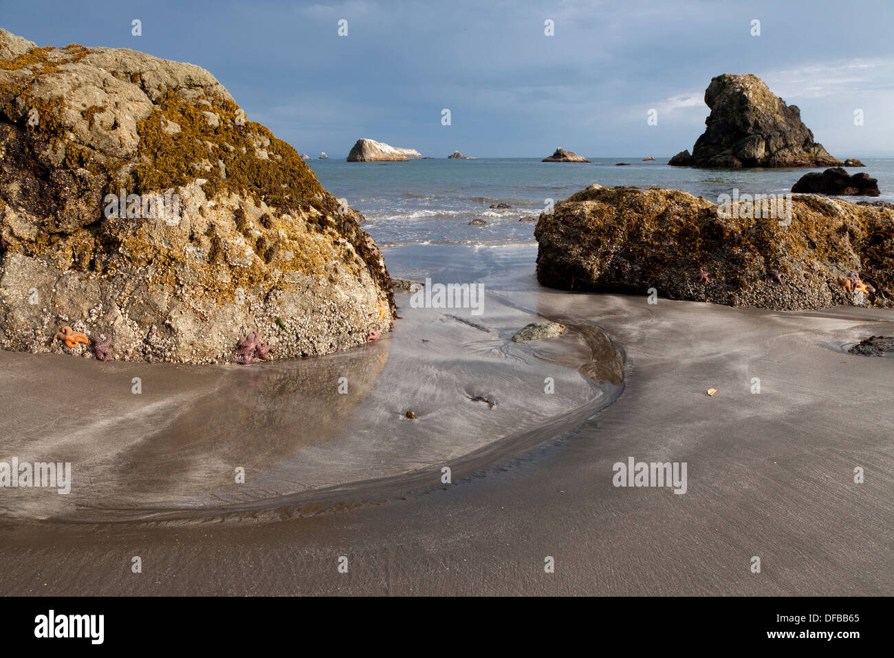 Shoreline sand hires stock photography and images Alamy